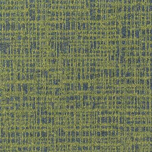 646
